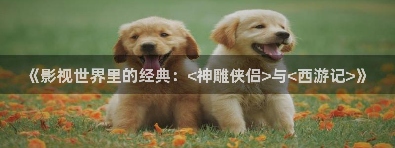 西瓜影院电影入口