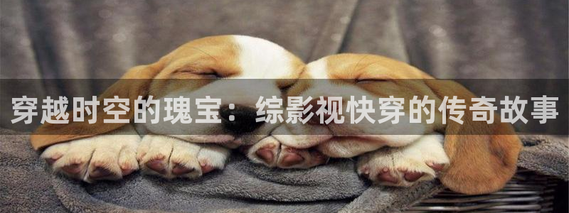 西瓜影院在线高清观看