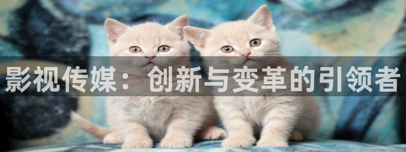 西瓜影院在线观看免费高清电视剧我是刑警